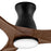 Hinkley Fan Swell Flush Illuminated 56" LED Smart Fan, Bk/Walnut
