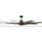 Hinkley Fan Concur 66" LED Smart Fan, Metallic Bronze/Bronze