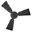 Hinkley Fan Atom 30" LED Fan, Matte Black/Black