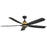 Hinkley Fan Bodin 64" LED Smart Fan, Heritage Brass/Matte Black