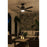 Hinkley Fan Vail 52" 1 Light LED Smart Fan, Black/Black