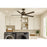 Hinkley Fan Vail 52" 1 Light LED Smart Fan, Bronze/Bronze