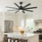 Hinkley Fan Vantage 66" 1 Light LED Smart Fan, Black/Black
