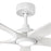Hinkley Fan Layton 58" 1 Light LED Smart Fan, White/White