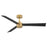 Hinkley Fan Speck 52" 1 Light LED Smart Fan, Brass/Black