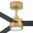 Hinkley Fan Speck 52" 1 Light LED Smart Fan, Brass/Black
