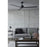 Hinkley Fan Indy 72" Smart Fan, Matte Black/Matte Black