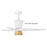 Hinkley Fan Downrod Adapter Kit, Matte White