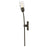 Hinkley Atera 1Lt Wall Mount, Black Oxide/Faceted Clear Crystal