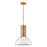 Fredrick Ramond Ombra 1 Light Large Pendant, Lacquered Brass - FR41577LCB-LL