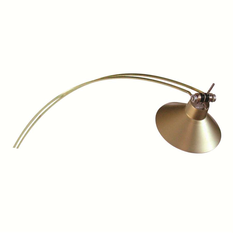 House of Troy Advent Gemini Satin Brass Halogen Picture Light