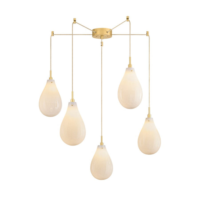 Hudson Valley Ironwood 5 Light Chandelier, Aged Brass/Opal Seedy