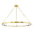 Hudson Valley Rosendale Medium Led Chandelier, Aged Brass