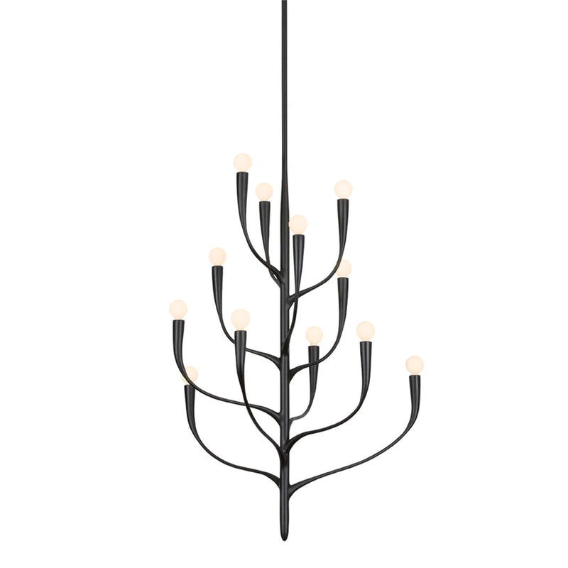 Hudson Valley Labra 32in 12-Light Chandelier | Botanical Aged Iron Steel | Dining Room & Foyer | 32 x 40 in, Damp Rated | Model 9612B-AI