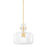 Mitzi Lumi 1 Light 16" Pendant, Aged Brass/Clear - H902701L-AGB