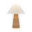 Hudson Valley Forest Heights 1 Light Table Lamp, Aged Brass/Rattan - L3551-AGB