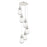 Innovations Malone 6Lt 6" CM Pendant, 14" Canopy, PN/CL - 116-450-1P-PN-G450-6CL