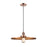 Innovations Appalachian 1 Light 16" Mini Pendant, Copper - 201C-AC-MFR-AC-16
