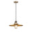 Innovations Appalachian 1 Light 12" Cord Mini Pendant, BB - 201CSW-BB-MFR-BB-12