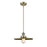 Innovations Appalachian 1 Light 12" Stem Mini Pendant, Brass - 201S-AB-MFR-AB-12