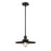 Innovations Appalachian 1 Light 12" Stem Mini Pendant, Black - 201S-BK-MFR-BK-12