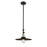 Innovations Appalachian 12" Stem Mini Pendant/Adj Swiv, BAB - 206-BAB-MFR-BK-12