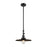 Innovations Appalachian 12" Stem Mini Pendant/Adj Swivel, BK - 206-BK-MFR-BK-12