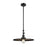 Innovations Appalachian 16" Stem Mini Pendant/Adj Swivel, BK - 206-BK-MFR-BK-16