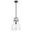 Innovations Newton Bell 1-Lt Stem Pendant