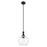 Innovations Astor 1Lt 10" Stem Mini Pendant, Black/Clear - 415-1S-BK-G122-10