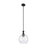Innovations Astor 1Lt 10" Stem Mini Pendant, Black/Seedy - 415-1S-BK-G124-10