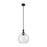 Innovations Astor 1Lt 12" Stem Mini Pendant, Black/Seedy - 415-1S-BK-G124-12