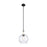 Innovations Astor 1Lt 10" Stem Mini Pendant, BK/WhiteSD - 415-1SR-BK-G124-10