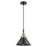 Innovations Caden Briarcliff 10" Cord Mini Pendant, BKBS/BK - 447-1P-BAB-M10-BK