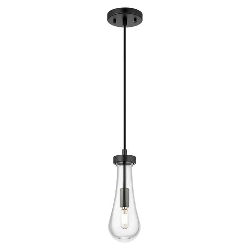 Innovations Owego 1Lt 4" Cord Pendant, Black/Clear Glass - 451-1P-BK-G451-4CL