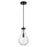 Innovations Owego 1Lt 7" Cord Pendant, Black/Clear Glass - 451-1P-BK-G451-7CL