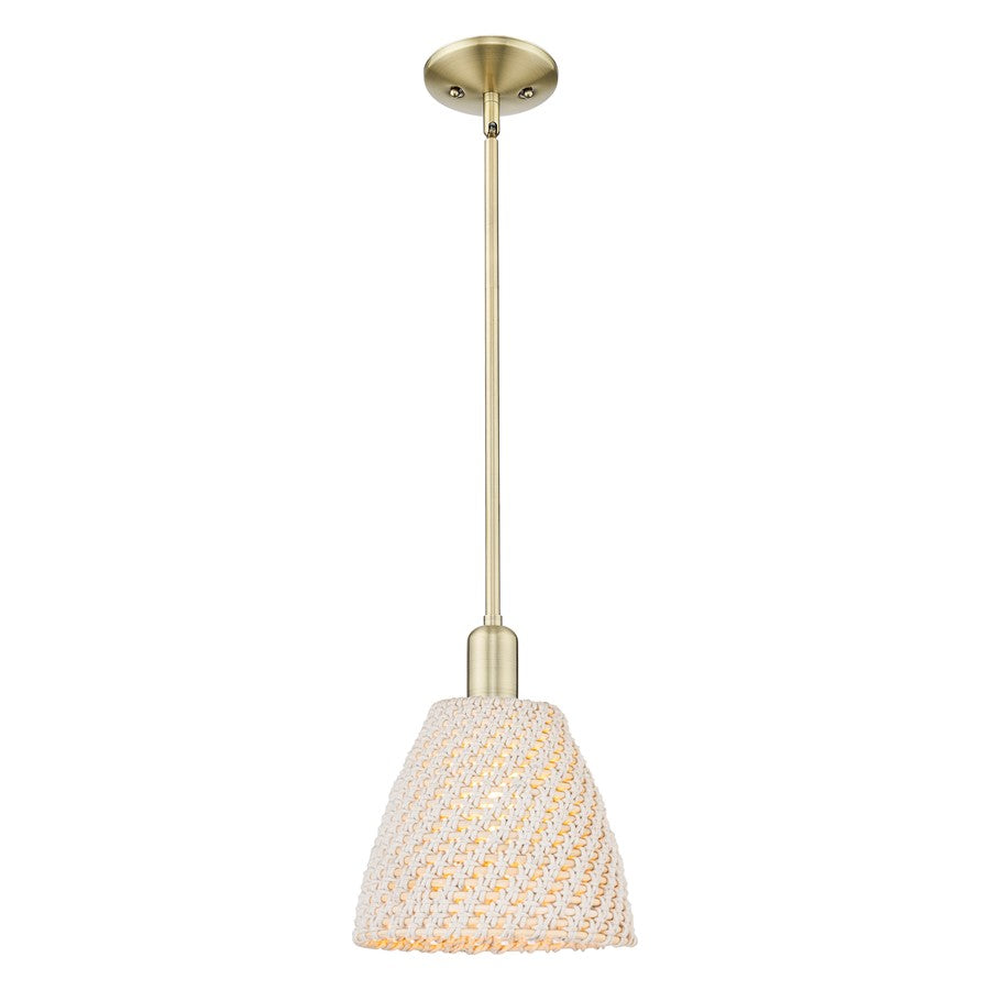 Innovations NB Dome 1Lt 9" Stem Mini Pendant, AB/NF - 716-1S-AB-NBD-9-NAT