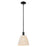 Innovations Natural Ballston Dome 9" Stem Mini Pendant, BK - 716-1S-BK-NBD-9-NAT