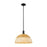 Innovations NB Dome 1Lt Stem Mini Pendant/16" BK/NF - 716-1S-BK-NBD2-16-NAT
