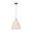 Innovations NB Dome 1Lt 12" Stem Mini Pendant, CH/NF - 716-1S-PC-NBD-12-NAT