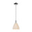 Innovations NB Dome 1Lt 8" Stem Mini Pendant, CH/NF - 716-1S-PC-NBD-75-NAT