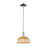 Innovations NB Dome 1Lt 9" Stem Mini Pendant/CH/NF - 716-1S-PC-NBD2-9-NAT