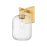 Innovations Preston 1Lt 7" Jar Wall Sconce, Gold/Clear