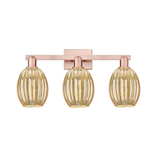 Innovations Preston 3Lt 26" Bell Bath Light, Copper/Mercury