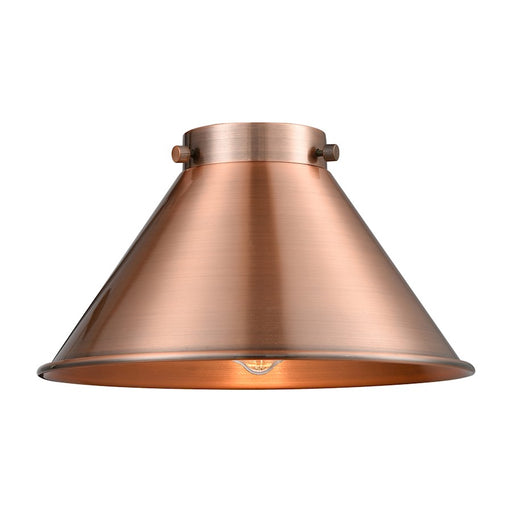 Innovations 10" Briarcliff Metal Shade, AC