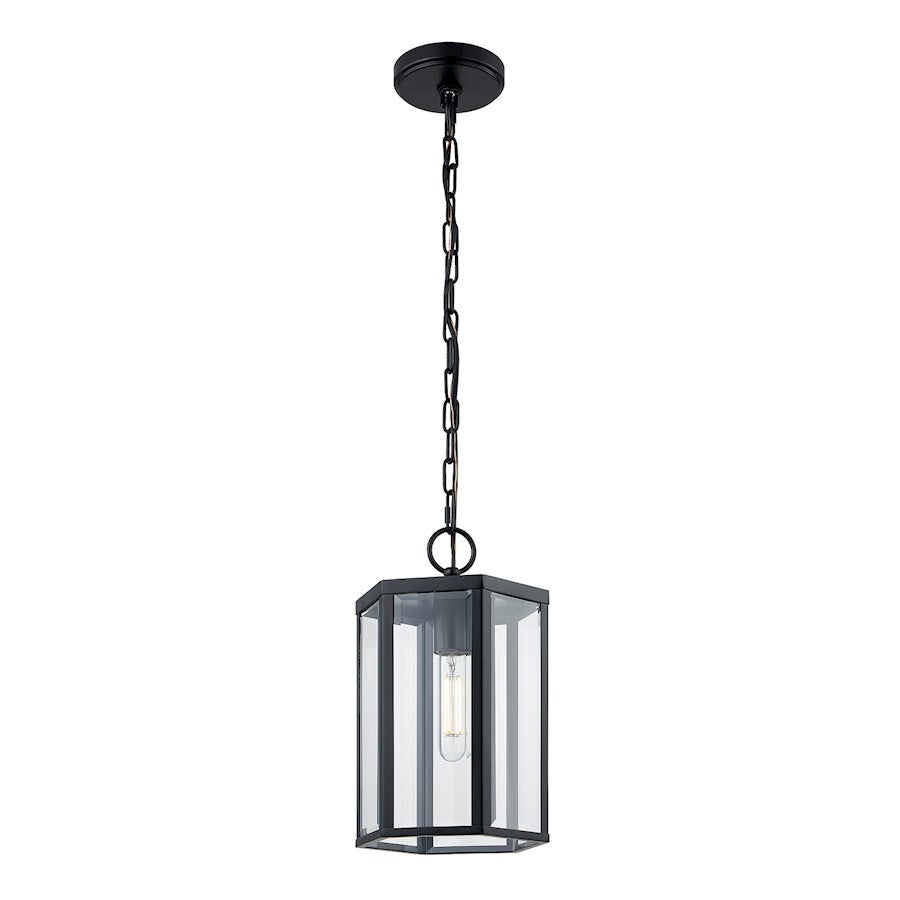 Justice Fusion Edgeworth 1Lt Outdoor Pendant, Black/Clear - FSN-7675W-CLER-MBLK