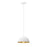 Justice Design Evolv Elias 9" 1Lt Dome Pendant, White/Metal - NSH-9840-MTGD
