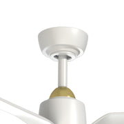 Haus Appeal Alden 52in 3-Blade Ceiling Fan | Modern Brushed Gold and Matte White | Bedroom & Living Room | 52 x 52 x 12.875 in | Model CF92952-BG-WH