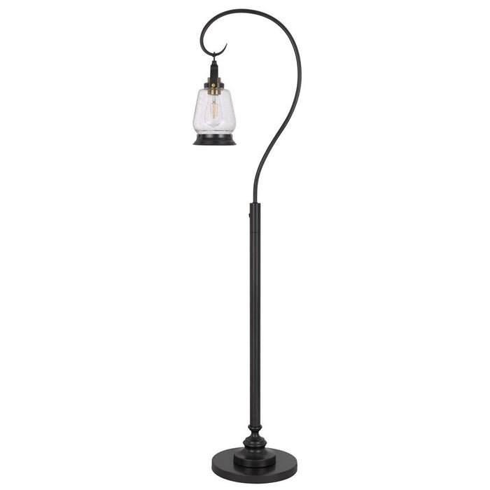 Cal Lighting Terri 1 Lt Floor Lamp, Dark Bronze - BO-3218FL