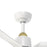 Kuzco Hugo 42" Ceiling Fan, Brushed Gold/Matte White